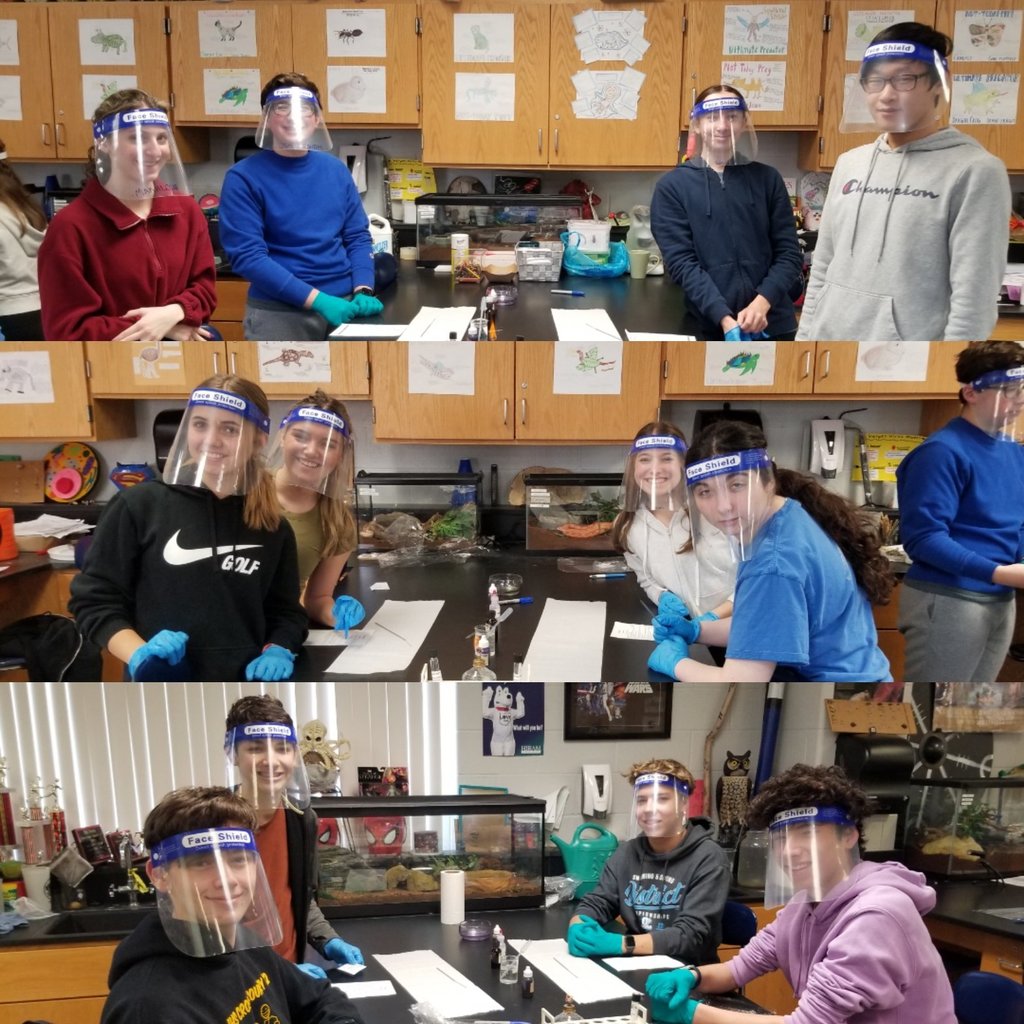MICROBIOLOGY AT ITS FINEST!  The Honors Biology classes worked with live bacteria today as they learned the process of Gram staining.