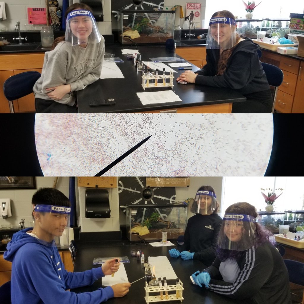 MICROBIOLOGY AT ITS FINEST!  The Honors Biology classes worked with live bacteria today as they learned the process of Gram staining.